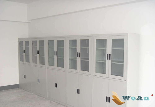 藥品柜 實(shí)驗(yàn)臺廠家,通風(fēng)柜,實(shí)驗(yàn)室家具